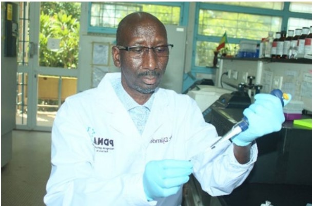 Lauréats du 5ème Prix Hideyo Noguchi pour l’Afrique